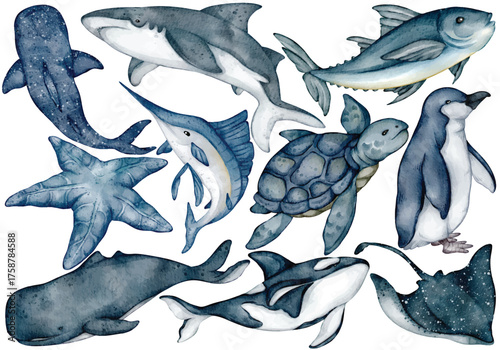 Sea life watercolor clip art with whale shark turtle penguin stingray tuna swordfish and starfish illustration for marine art design ocean education or underwater nature decoration