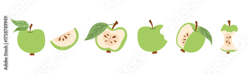 Green apples vector illustration set with soft outline. Fresh minimal fruit collection with halves, slices and core isolated on white background.