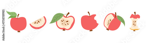 Modern apple collection in minimal line style. Simple fruit design with outline, halves and slices isolated on white background.