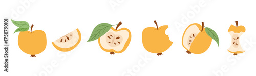 Yellow apples vector illustration set with soft outline. Sweet minimal fruit collection with halves, slices and core isolated on white background.