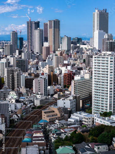 Canvas Print Aerial view of central Tokyo with rail tracks and distant bay