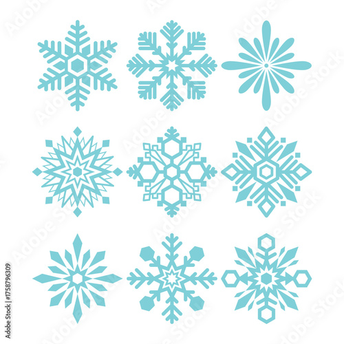 Vector set of white snowflakes on a white background. Details of the six-pointed snow. Illustration in flat design.