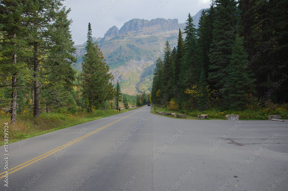 Naklejka premium Scenic winding Mountain Road Through Dense Forest Toward Alpine Peaks in Autumn Light Glacier National Park Montana.Pine forest toward rugged alpine peaks. Golden autumn hues glow among tall evergreen