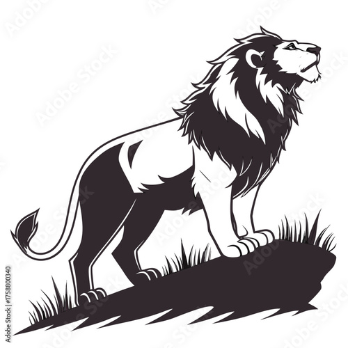 Lion vector illustration