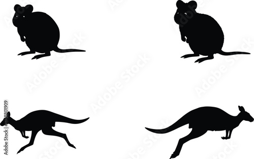 Set of four black silhouettes featuring Australian marsupials, a kangaroo and a quokka, in various poses on a white background.
