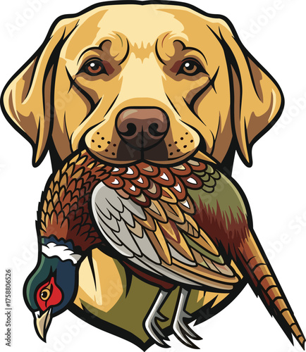 Yellow Labrador Retriever Head with Ring-Necked Pheasant Bird in Mouth VectorYellow Labrador Retriever Head with Ring-Necked Pheasant Bird in Mouth Vector