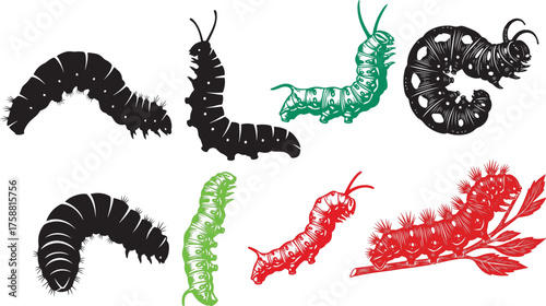 Collection of diverse caterpillars dark silhouettes vibrant detailed color renderings nature projects vector