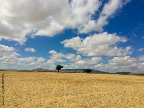 Wallpaper Mural Landscape, Beautiful View, Background  Torontodigital.ca