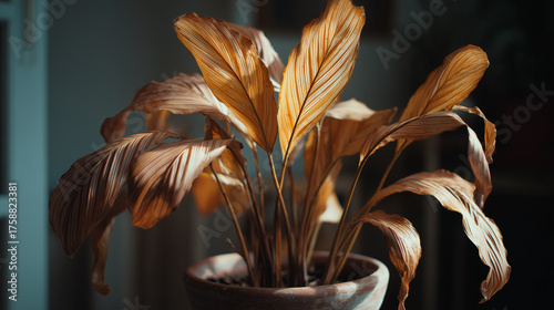 Dried plant in realistic brown tones in pot