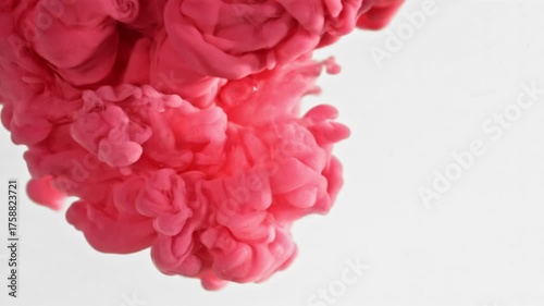 Wallpaper Mural Pink ink in water on a white background. Filmed on a high-speed camera at 1000 fps. High quality FullHD footage Torontodigital.ca
