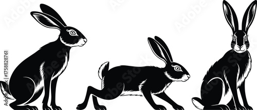 Black and white hare illustrations, sitting and crouching poses, wild rabbit sketch, ink drawing, forest animal art, nature texture, wildlife design