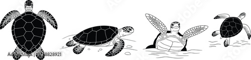 Black and white sea turtle illustrations, swimming and emerging poses, ocean wildlife sketch, marine animal drawing, ink style, aquatic nature art