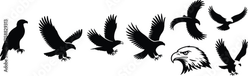 Black silhouette eagle illustrations, flying and perched poses, bird of prey sketch, nature motion art, ink style, wildlife anatomy, freedom symbol