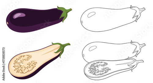 The best way to draw an eggplant and its cut half.