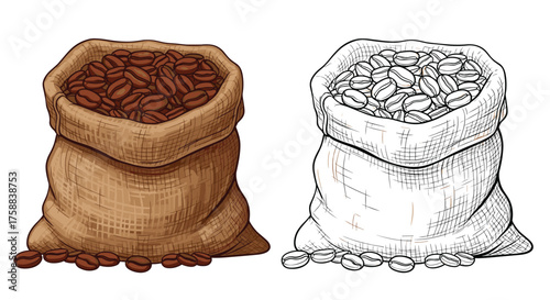 Bag of roasted coffee beans in a burlap sack and outline sketch.
