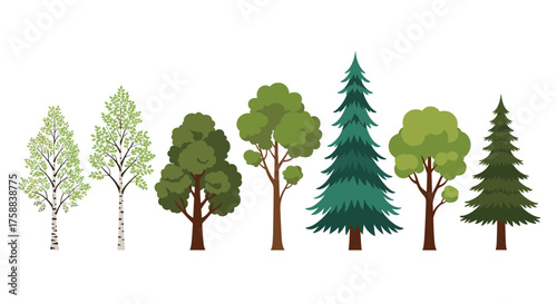 A collection of various deciduous and evergreen trees in a row.