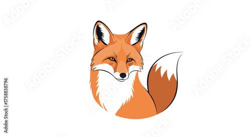 A portrait of a cunning red fox with its bushy tail curled.