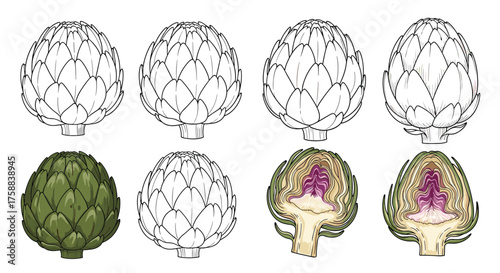 A selection of fresh artichokes drawn in various styles.