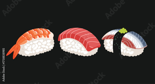 A trio of delicious sushi nigiri artfully arranged.