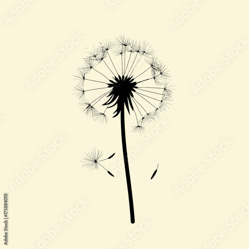 Minimalist dandelion seed head silhouette with stem and flying seeds black vector illustration on light background