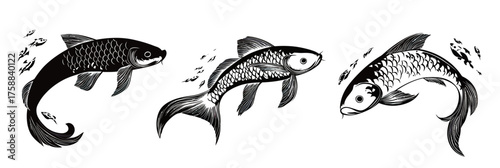 Black and white detailed koi fish illustration set with traditional Japanese style flat minimalist vector art featuring three swimming carp with flowing fins and scales