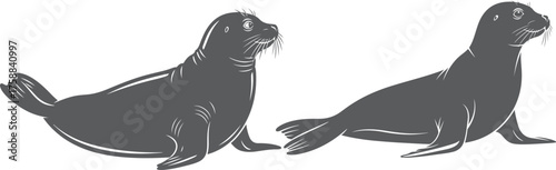 Two walruses silhouettes majestic marine mammals with prominent tusks side by side vector