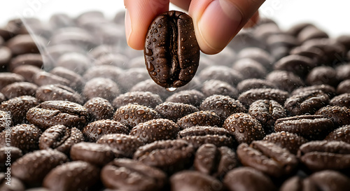 Fresh roasted coffee beans with glistening water droplets, an aromatic experience, perfect for coffee lovers and cafes, a touch of elegance and warmth