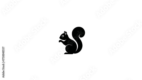 Black squirrel silhouette vector illustration on white background, simple minimalist graphic design animal icon