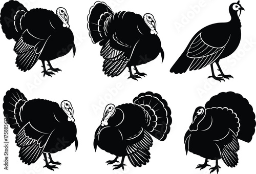 Turkey silhouette, guinea fowl, black bird shapes, wildlife illustration, farm animal, poultry art, nature graphic, Thanksgiving, rural, feathered birds
