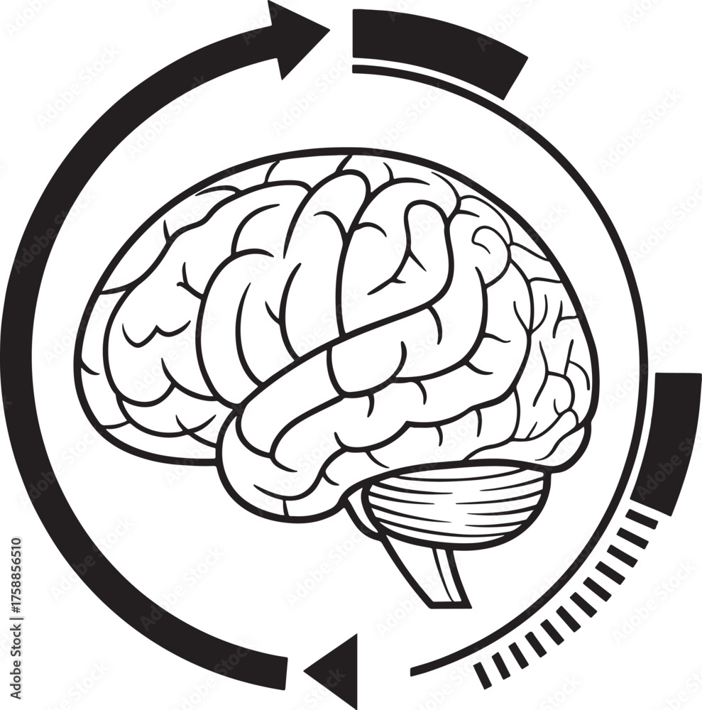 Fototapeta premium 3d rendered illustration of a brain