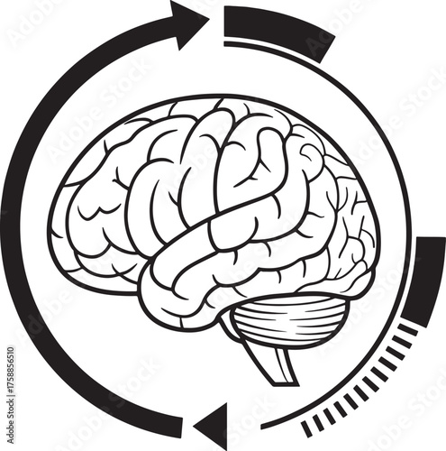 3d rendered illustration of a brain