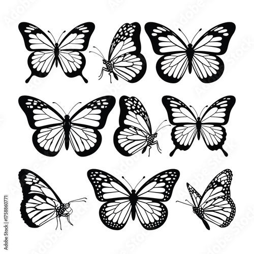 Butterfly collection, fireflies and butterflies icons on white background. New hand drawn vector illustration design.