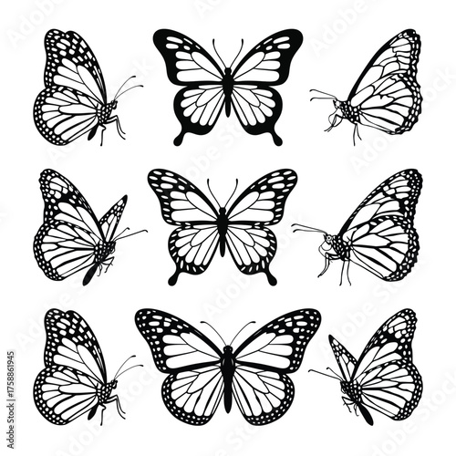 Butterfly collection, fireflies and butterflies icons on white background. New hand drawn vector illustration design.