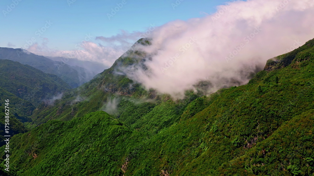 Obraz premium Vivid green mountains slopes aerial view. Scenic landscape with dense forest