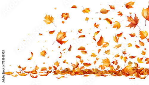 hand-drawn cartoon-style image of maple leaves falling in the air, with a transparent background