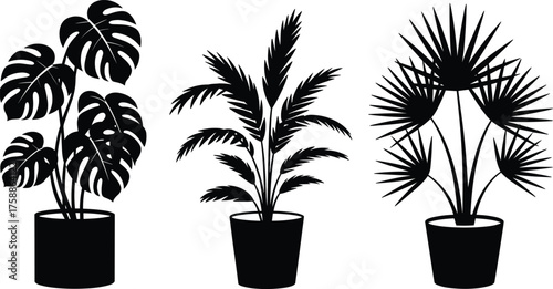 Black plant silhouettes, Monstera and palm shapes, potted foliage icons, minimalist botanical art, indoor decor, nature illustration, modern design