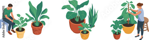 Indoor plant care, cozy home gardening, potted plant illustration, nature-inspired decor, wellness lifestyle, botanical art, relaxing activity scene