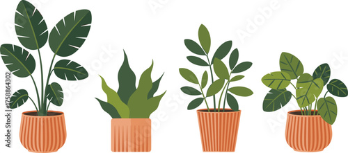 Terracotta potted plants, leaf shape variety, botanical illustration, indoor greenery, cozy home decor, nature art, foliage design, plant study