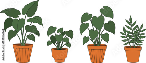 Potted plant illustration, leaf shape variety, botanical decor, indoor greenery, cozy home vibe, nature art, foliage design, plant study