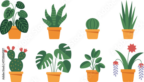 Stylized potted plants, cartoon foliage, orange pots, botanical illustration, indoor greenery, cozy decor, nature art, playful plant collection