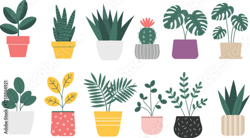 Colorful potted plants, botanical illustration, decorative houseplants, vibrant pot designs, indoor greenery, cozy home decor, nature art, plant collection