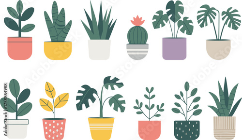 Stylized potted plants, colorful pots, botanical illustration, decorative houseplants, indoor greenery, plant variety, cozy decor, nature art, home inspiration