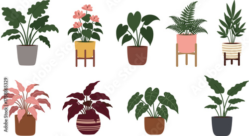 Stylish potted houseplants, indoor foliage variety, heart-shaped leaves, flowering decor, tropical plant icons, botanical vector set, modern pot design