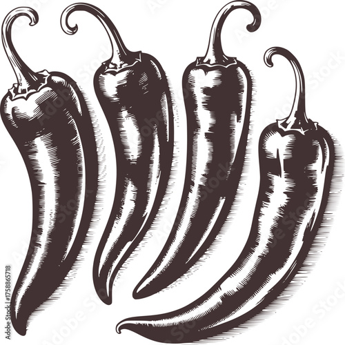 Four dark chili peppers with curled stems dark brown food