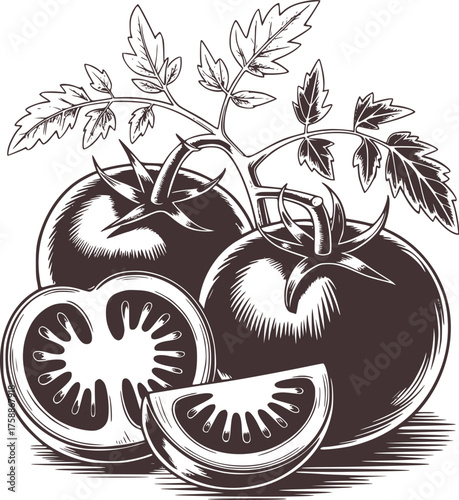 Whole and sliced tomatoes on vine illustration fruit