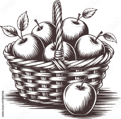 Woven basket overflowing with sketched apples and leaves fruit