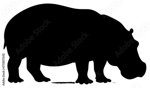 a black silhouette of a hippopotamus on a transparent background, bear, black, silhouette 