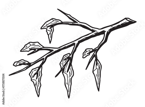 Black outline vector drawing of a tree branch with pointed leaves, resembling a unique artistic interpretation.