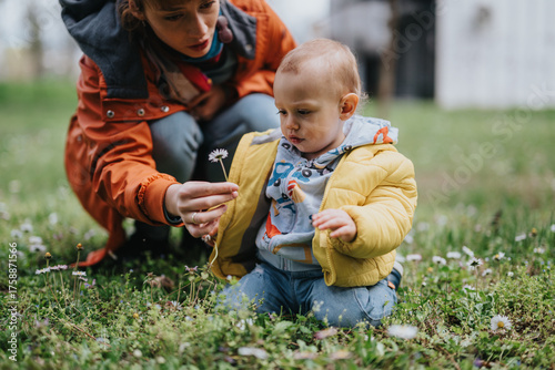 A parent shares quality time guiding their toddler in a scenic meadow. The image captures an intimate educational moment as they observe and appreciate the beauty of nature together.
