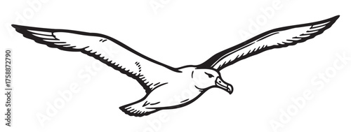 Black outline drawing of a flying bird with extended wings, depicted in a simple and minimal style.